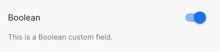 Custom field type Boolean