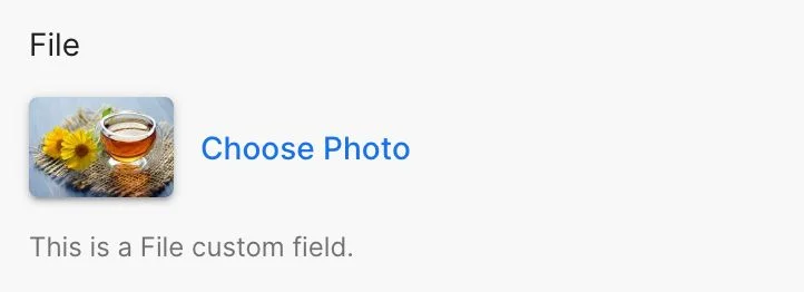 Custom field type File
