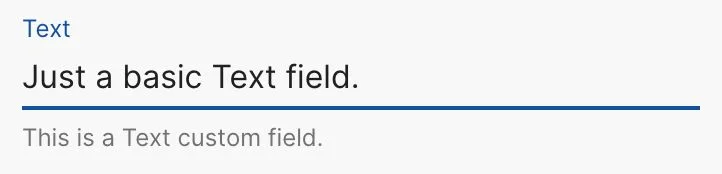 Custom field type text