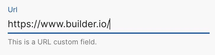 Custom field type URL