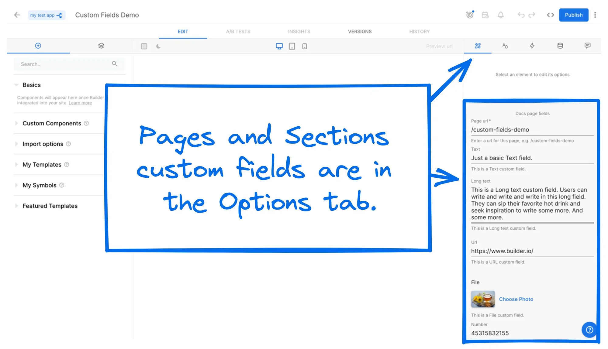 Custom fields options tab